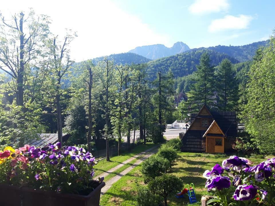 Kwatery Prywatne-Romanowka Zakopane Exterior photo